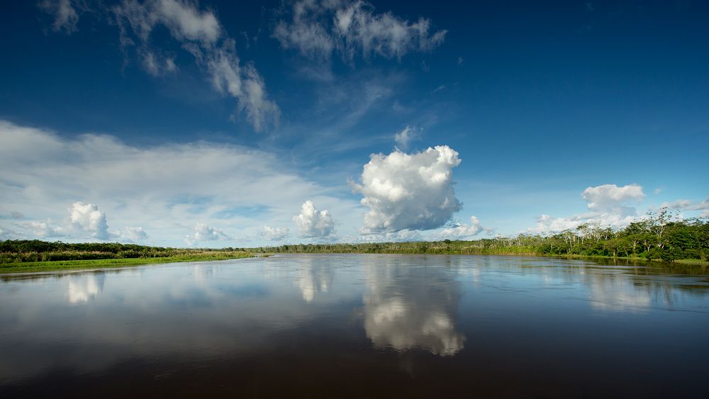 Amazonas