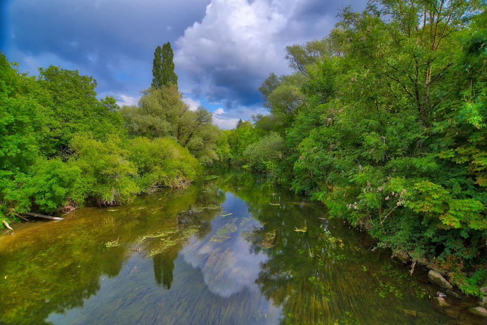 Amazonas an der Nied