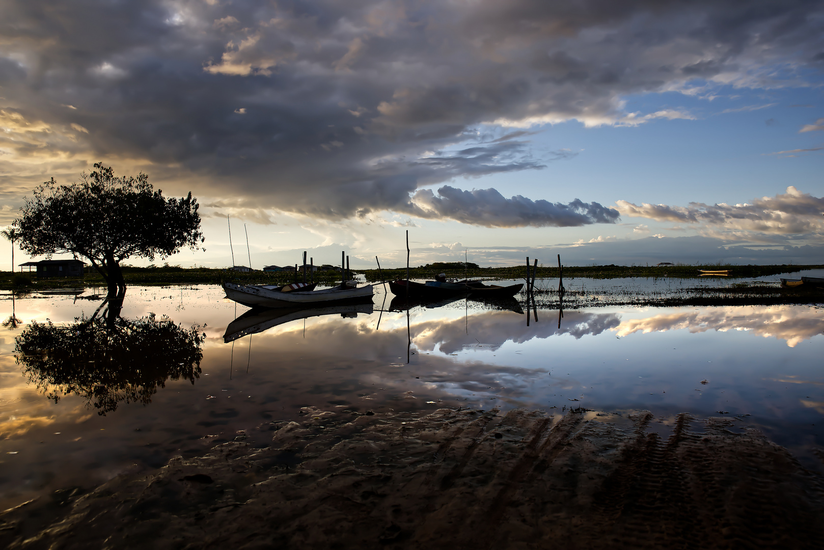 Amazonas Brasilien