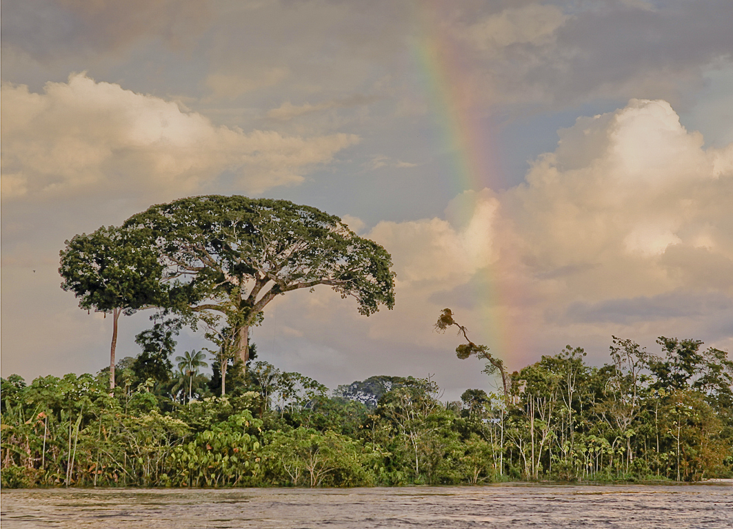 Amazonas