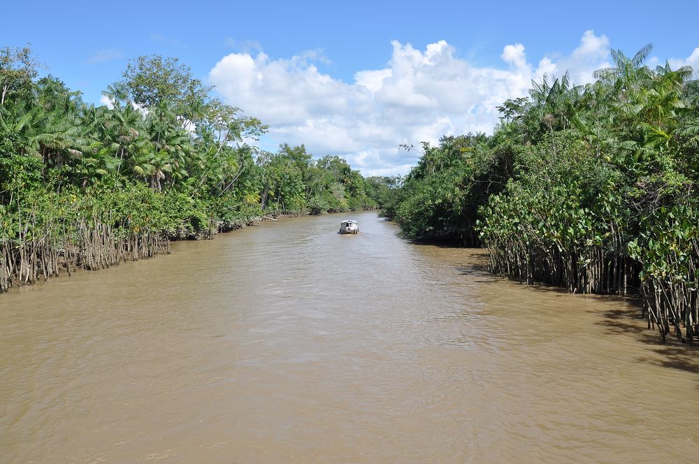 Amazonas-Delta (Brasilien)