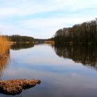 Amazonas des Norden - Peene