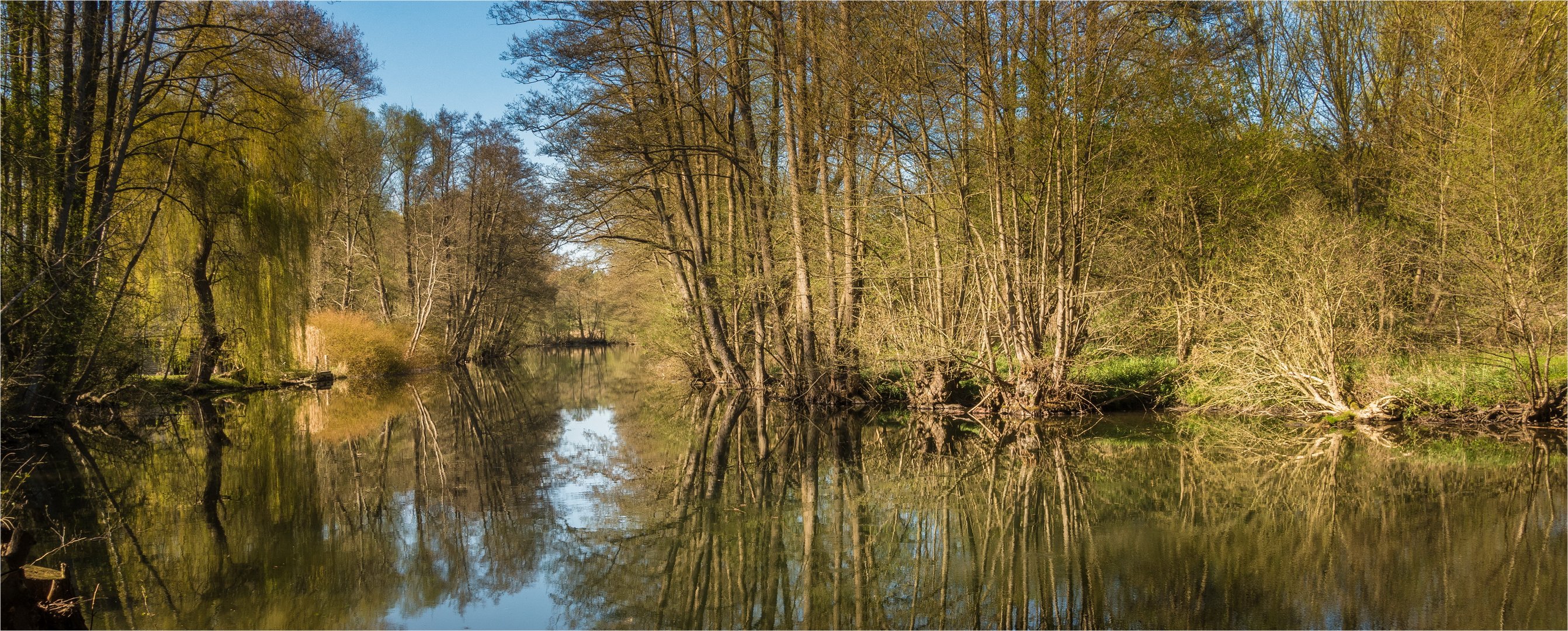 ****Amazonas des Nordens****