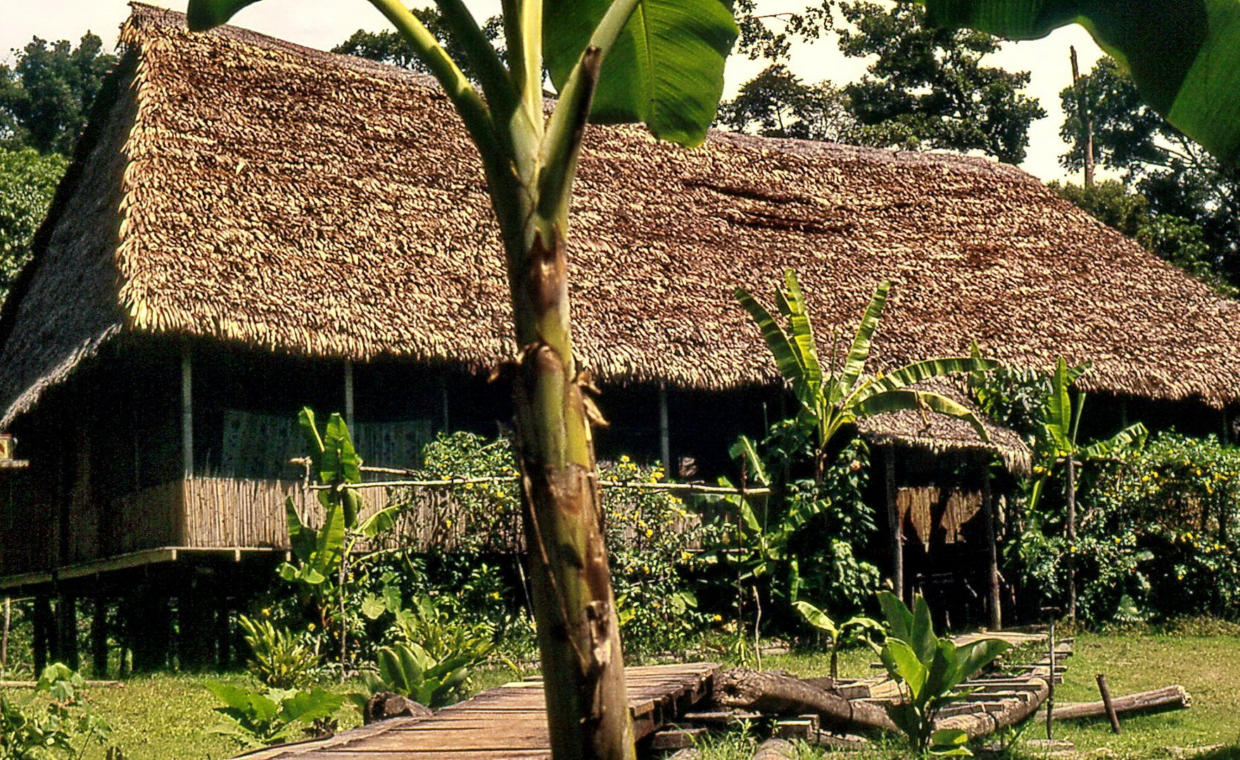 Amazonas Dorf Gemeinschaftshaus