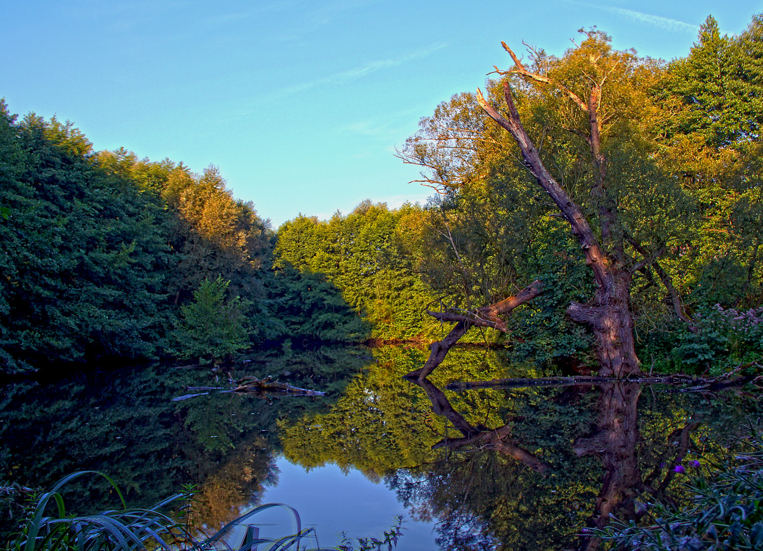 "Amazonas" in Pforzheim