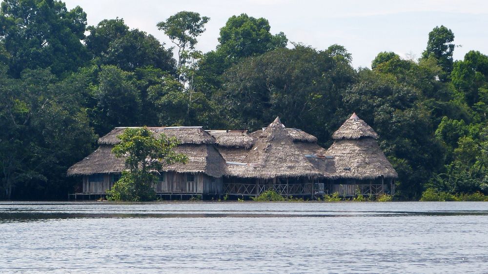 Amazonas Lodge..............