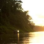 Amazonas Rio Tambo