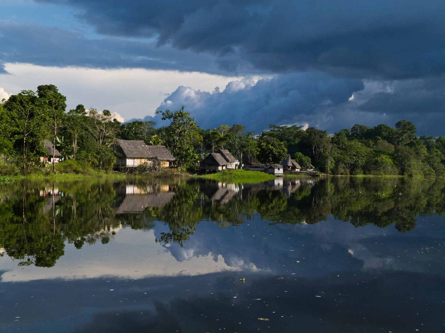 Amazonas-Spiegel