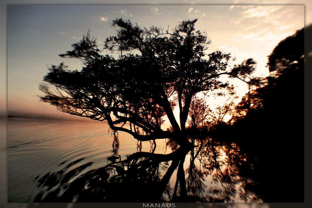 Amazonas sunrise