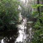 Amazonas-Wetterlage im norddeutschen Sommer