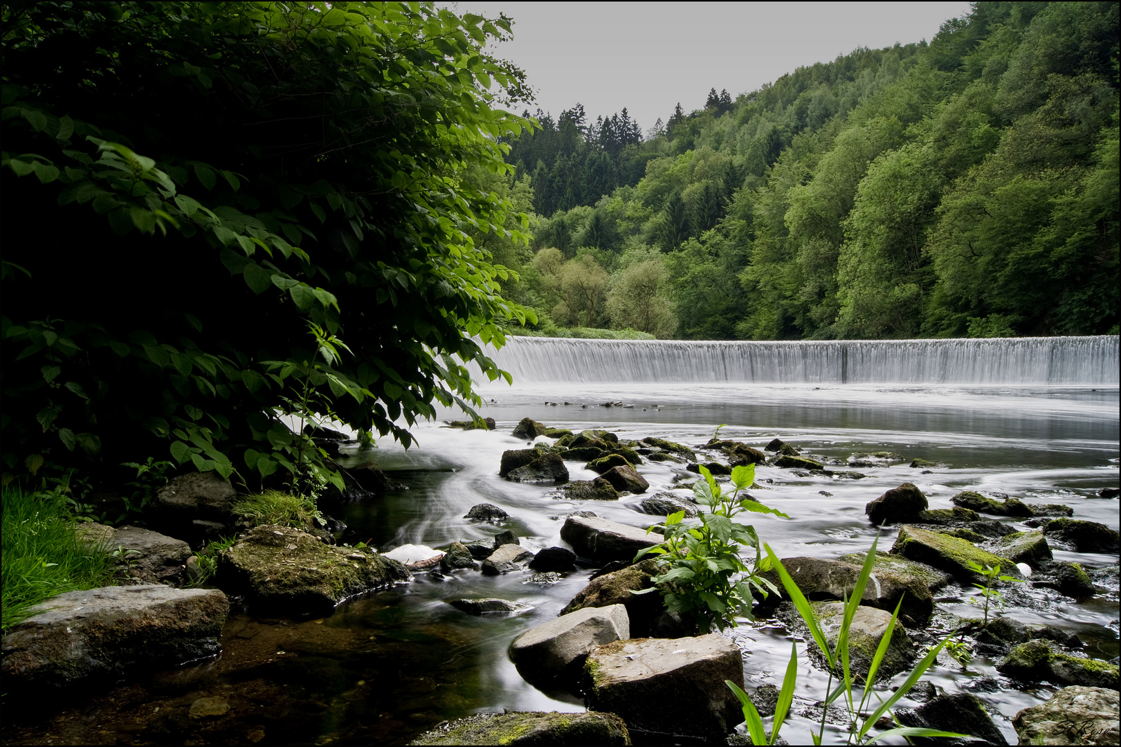 Amazonas Wupper