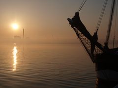 Amazone vor Kraftwerk - Technik im Morgennebel