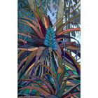 AMAZONIA-MAHINA toile definitive format50/100 huile carte postale