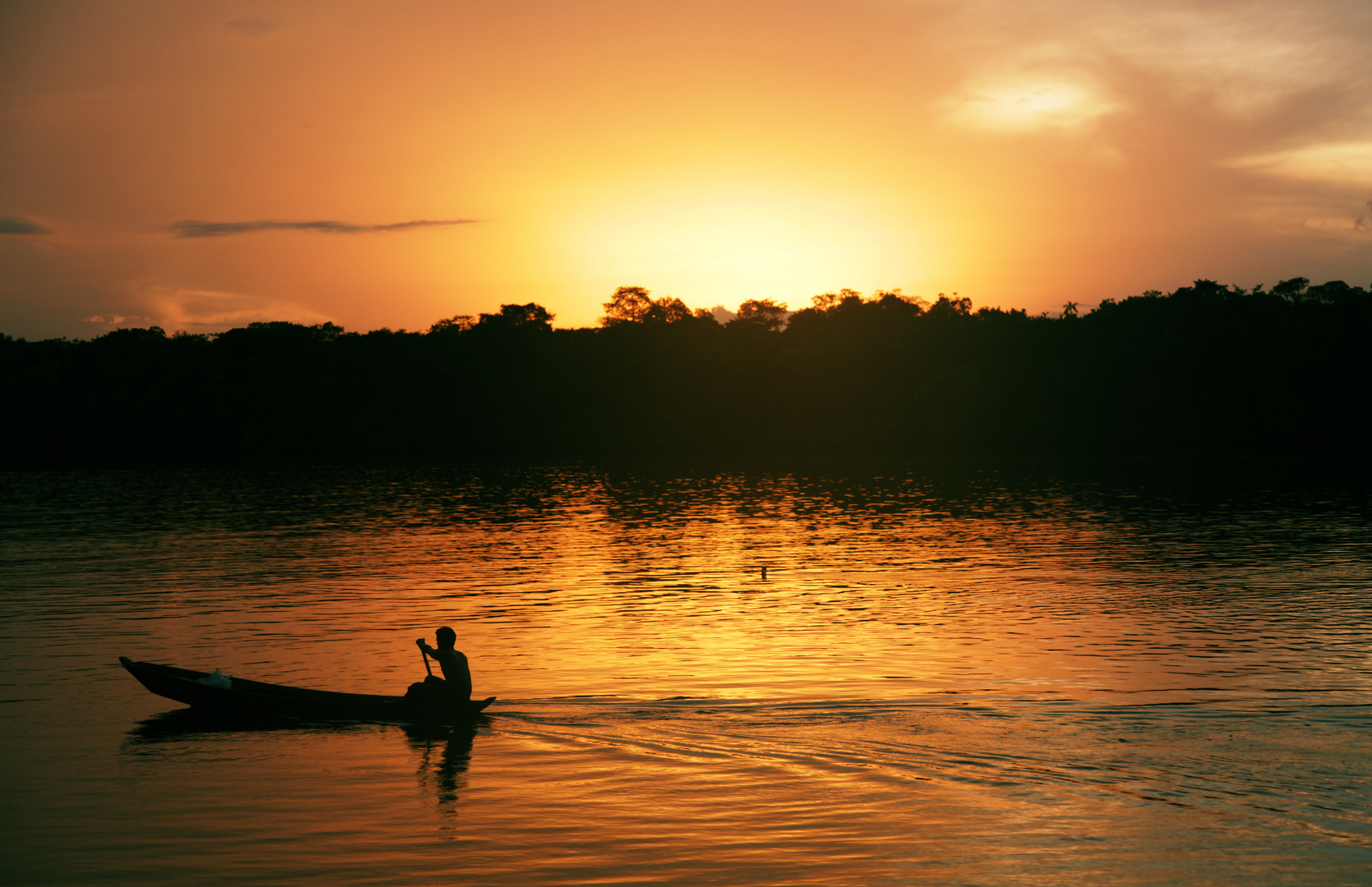 Amazonian Forest - oiapoque