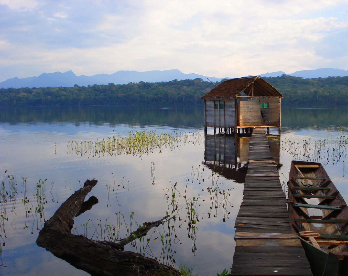 Amazonie ou le calme retrouvé