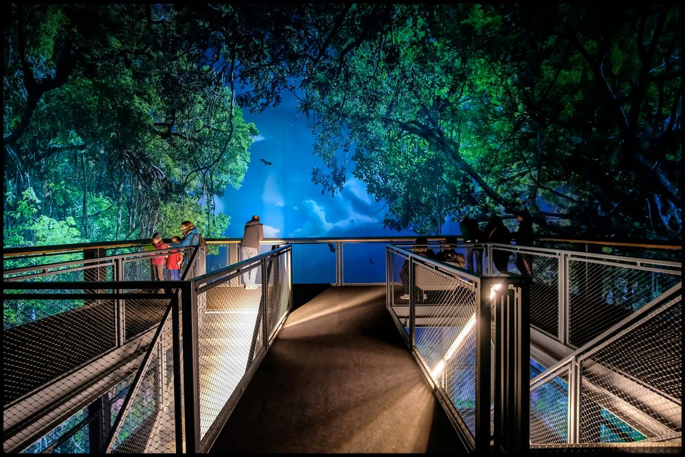 Amazonien in Hannover Foto & Bild zoo, deutschland, hannover Bilder