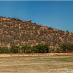 ... Amber Fort 9 ...