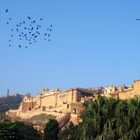 Amber Fort