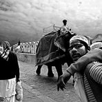 Amber Fort,Jaipur,India