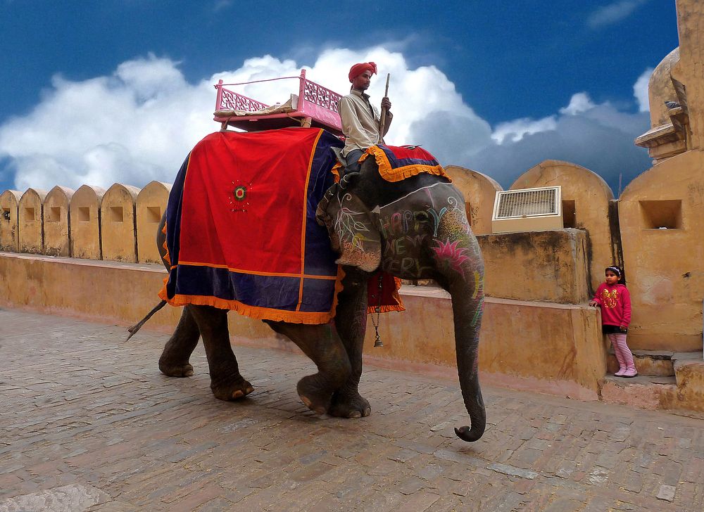 Amber Fort,Jaipur,India