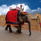 Amber Fort,Jaipur,India