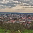 Amberg