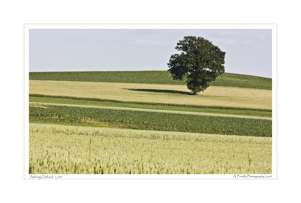 Amberg Outback