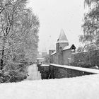 Amberger Stadtmauer westlich des Vilstors