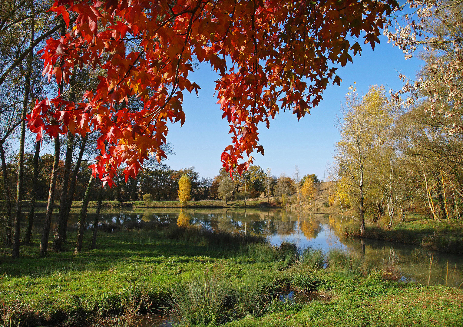 Ambiance automnale sur un petit lac gersois