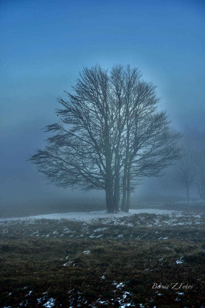 Ambiance bleue