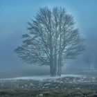 Ambiance bleue