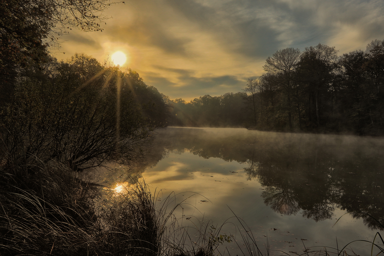 Ambiance brumeuse,