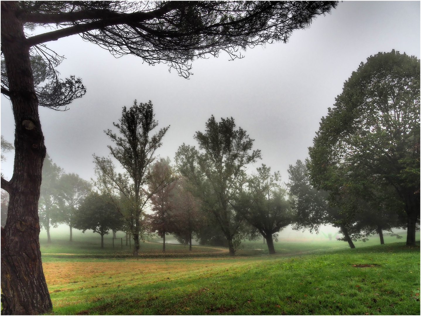 Ambiance brumeuse dans le parc de Gauge  --  Condom