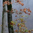 Ambiance d'automne