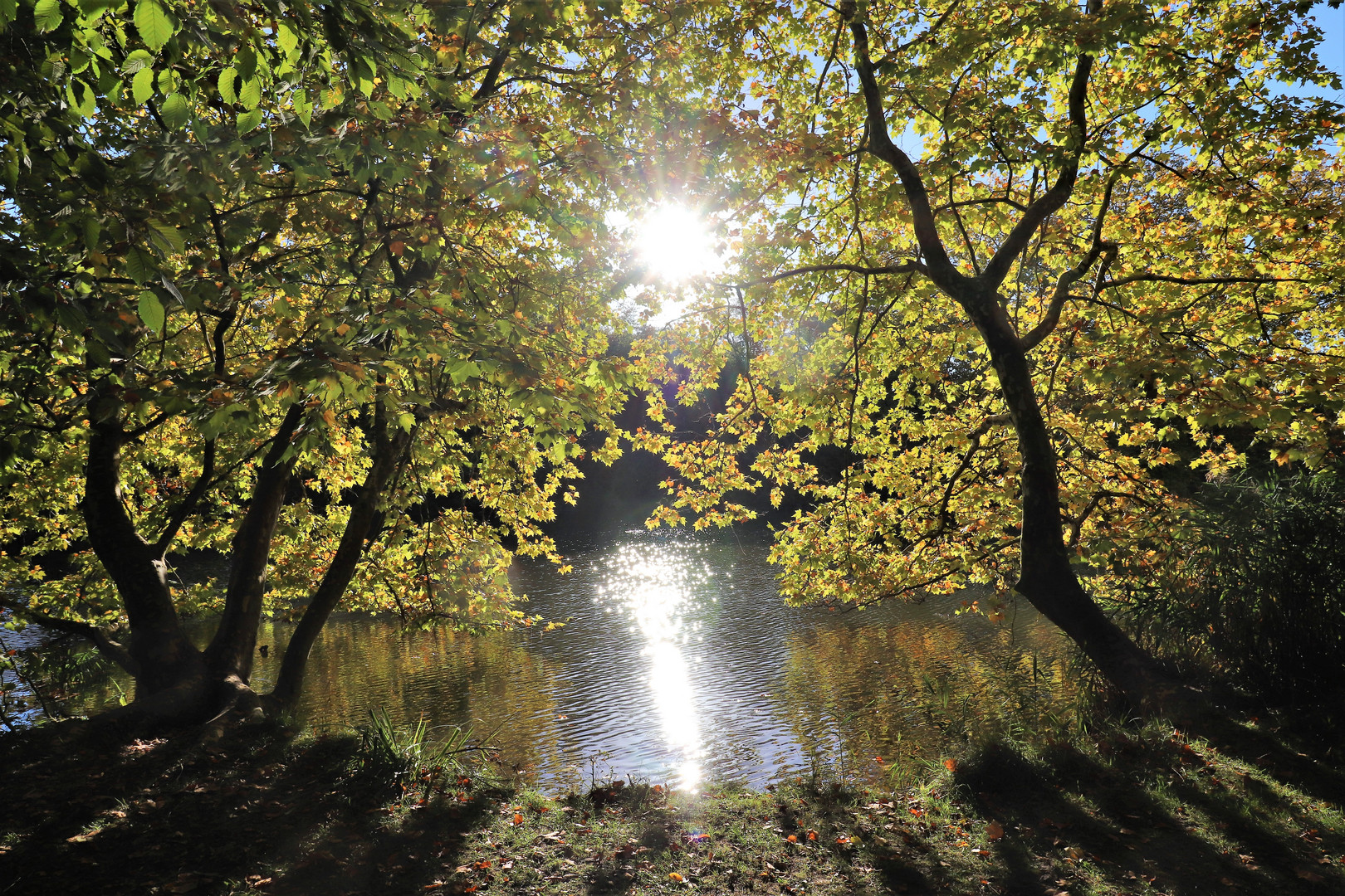 Ambiance d'automne