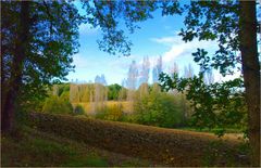 Ambiance d’automne dans le Gers - Herbststimmung in dem Gers