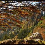 Ambiance d’automne dans le Jura Neuchâtelois.