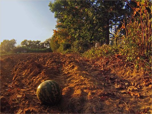 Ambiance d’automne