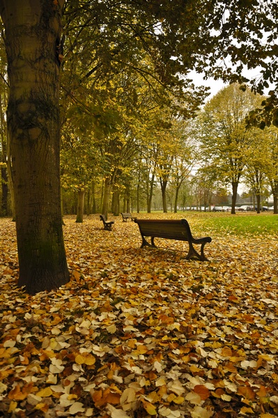 Ambiance d'automne