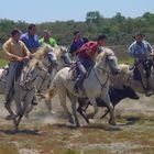 ambiance de camargue