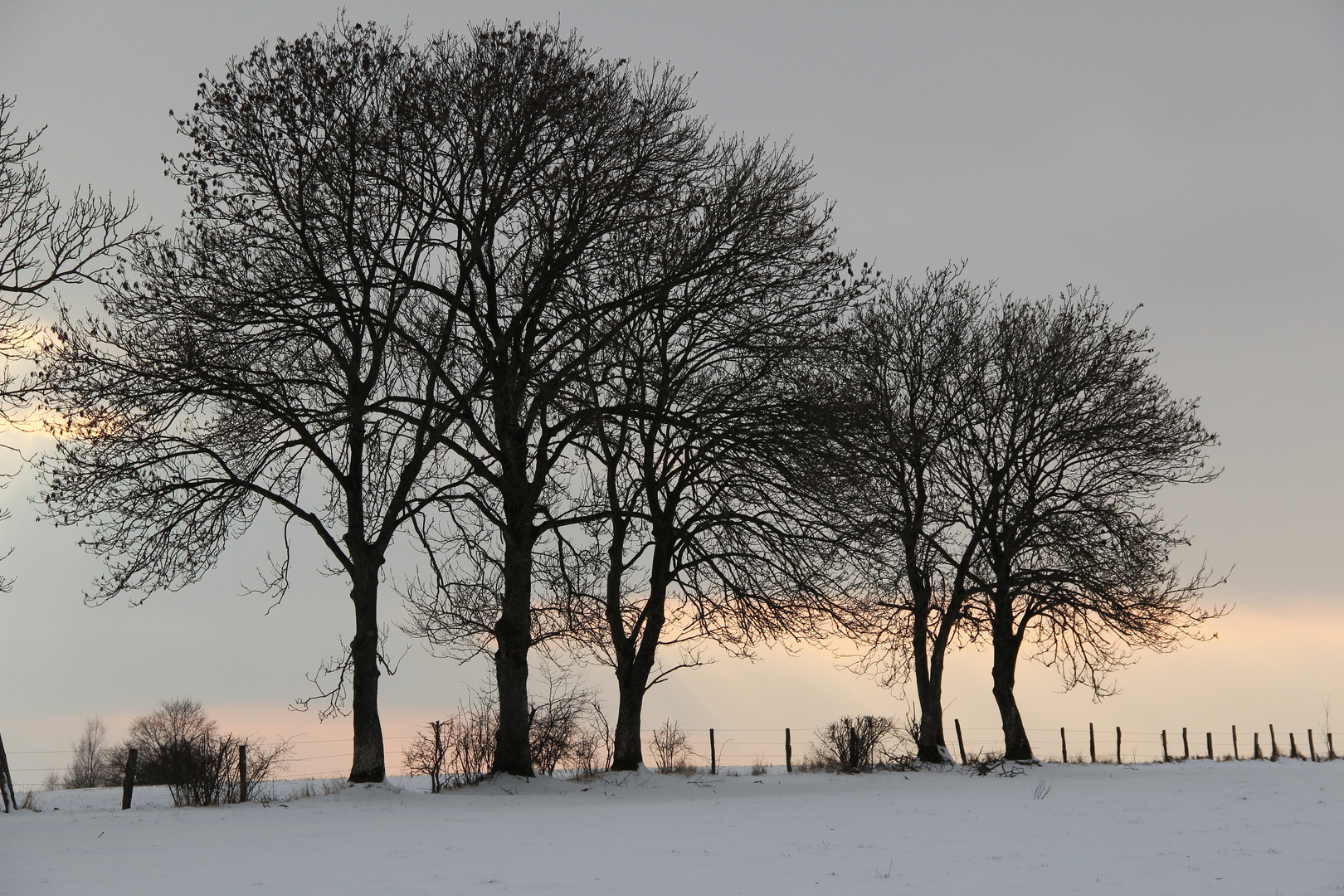 ambiance hivernale