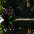 Ambiance magique en Amazonie