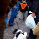 Ambiance marché 2