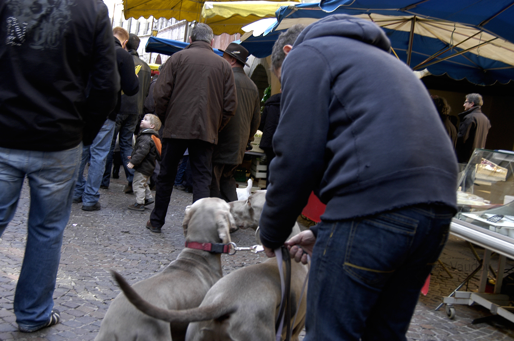 Ambiance marché 4