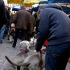 Ambiance marché 4