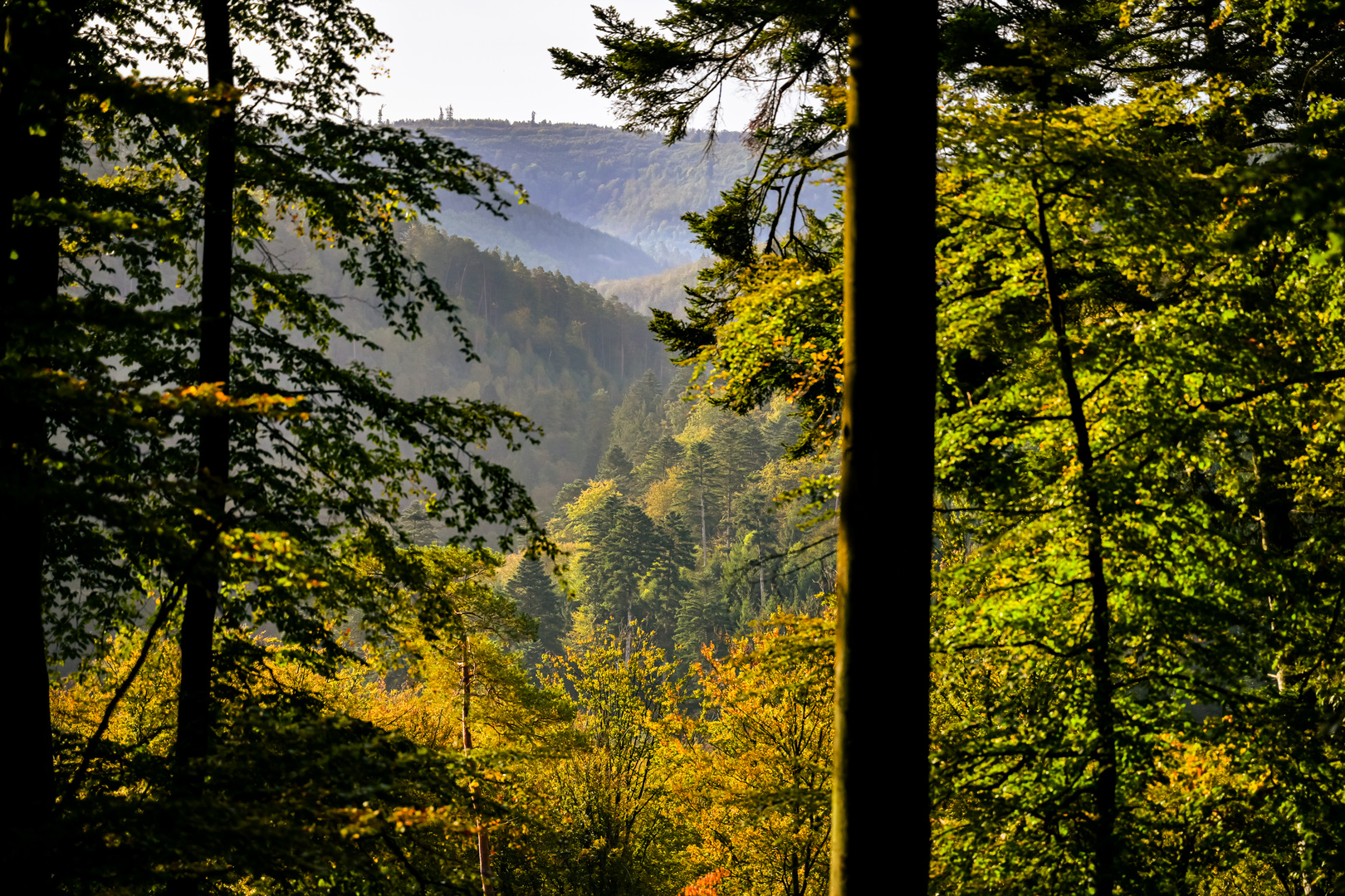 Ambiance Octobre