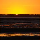 Ambiance or et noir sur le bassin de Marennes-Oléron