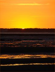 Ambiance or et noir sur le bassin de Marennes-Oléron