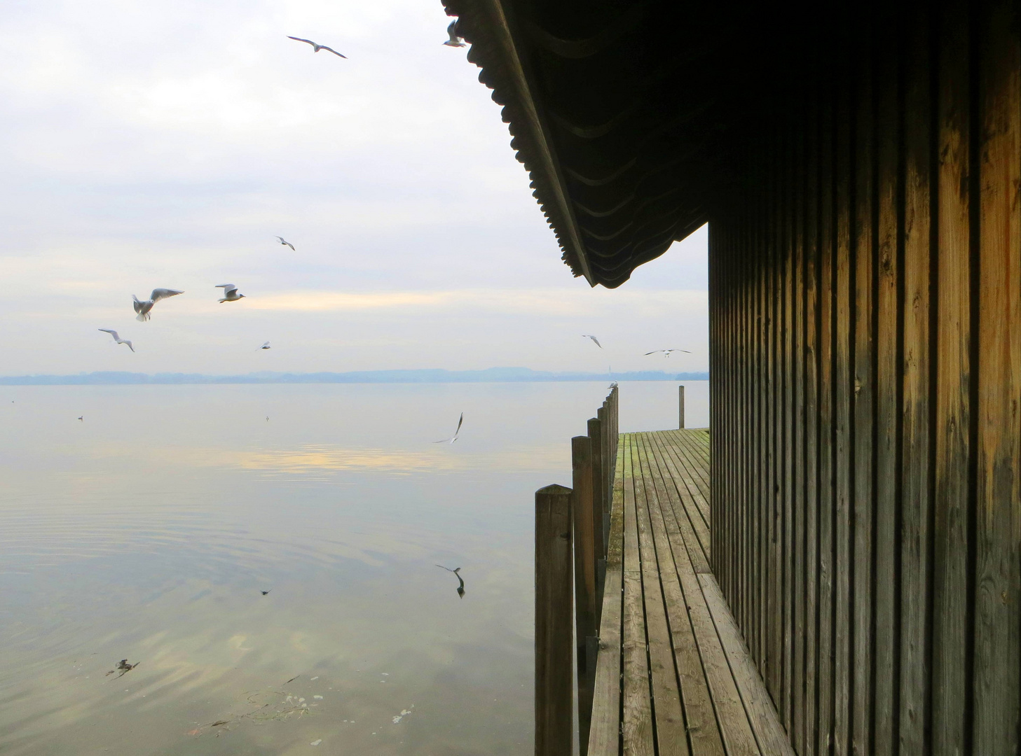 Ambiente am Zugersee ...