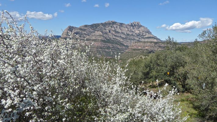 Ambiente primaveral total